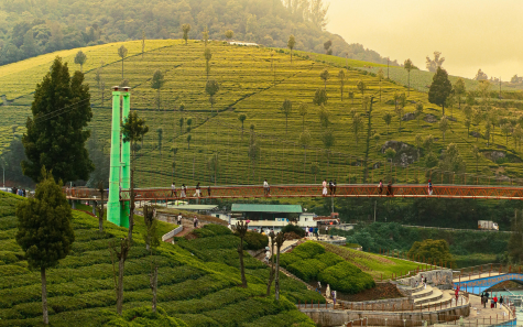 ooty