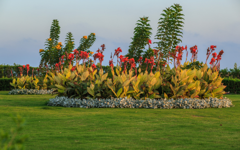 Colorful flower beds and exotic plants at Ooty Botanical Gardens – popular tourist place in Ooty