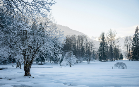 Atal Tunnel and Rohtang Pass snow view during Manali 5 days 4 nights tour