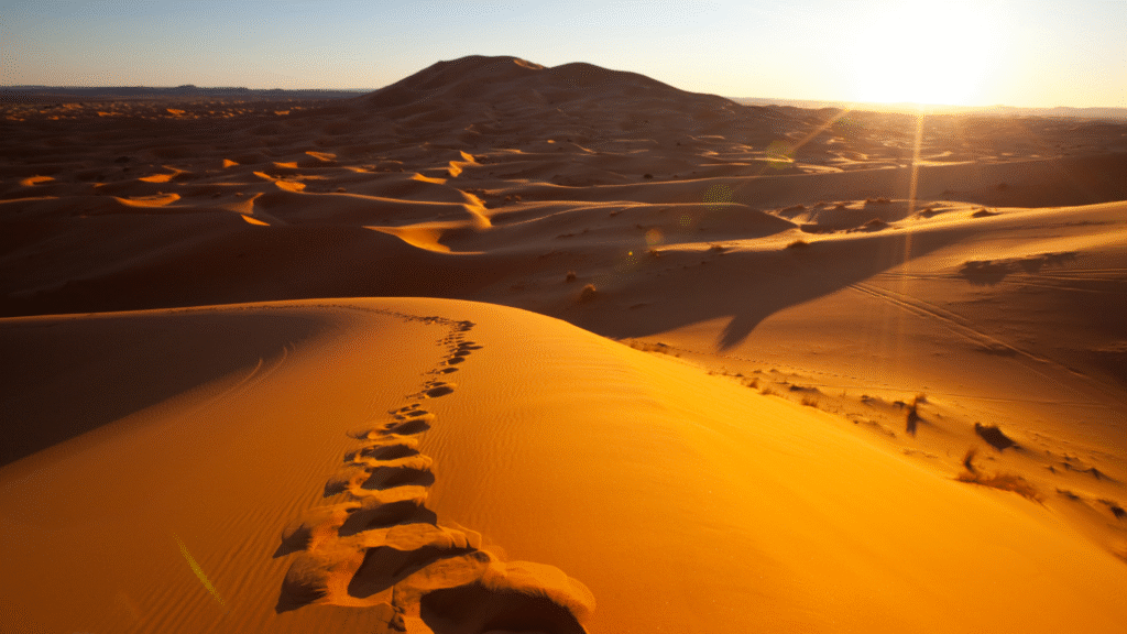 Adventure desert safari experience in Dubai with vast dunes