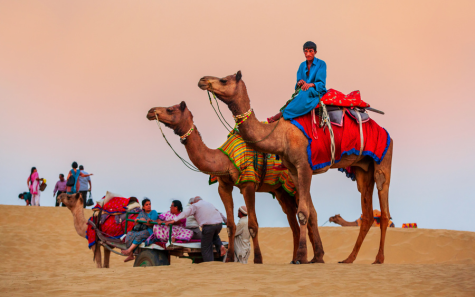 Rajasthan family tour packages from Hyderabad with Jaipur Jodhpur Udaipur sightseeing and cultural desert experiences